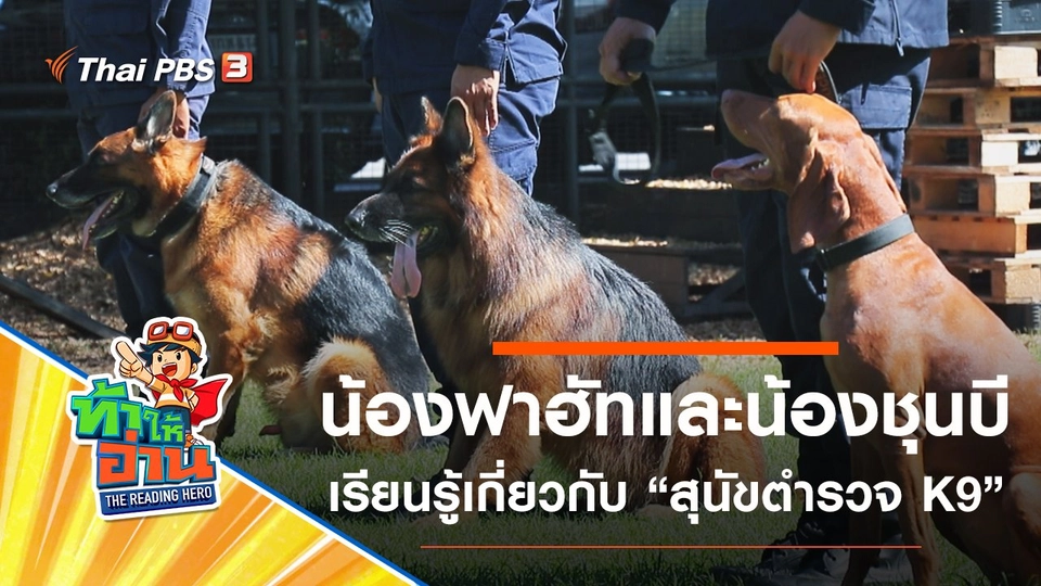 สุนัขตำรวจ K9 : น้องฟาฮัทและน้องชุนบี