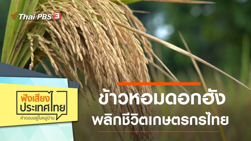 ข้าวหอมดอกฮัง พลิกชีวิตเกษตรกรไทย กำหนดราคาขายด้วยตัวเอง