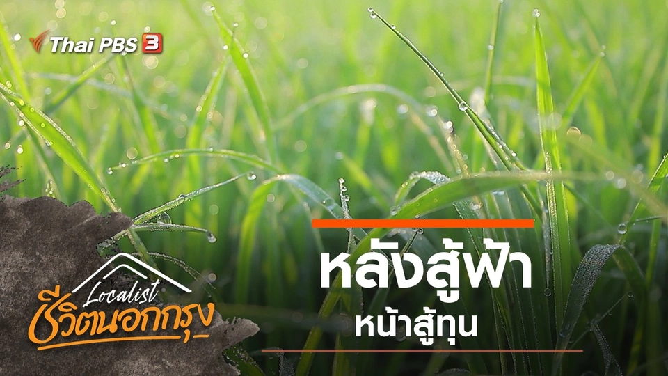 หลังสู้ฟ้า หน้าสู้ทุน