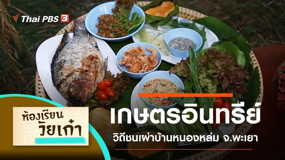 เกษตรอินทรีย์ วิถีชนเผ่าบ้านหนองหล่ม จ.พะเยา