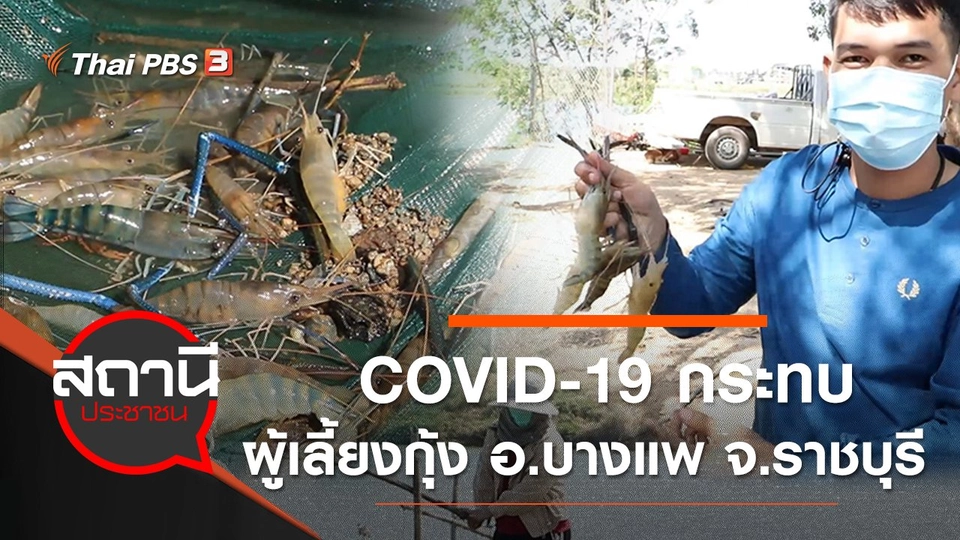 COVID-19 กระทบผู้เลี้ยงกุ้ง อ.บางแพ จ.ราชบุรี