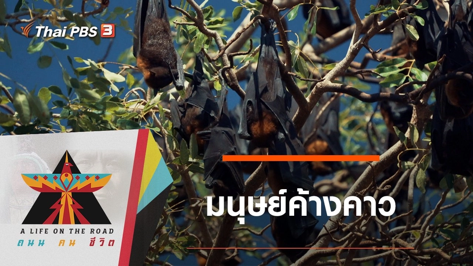 มนุษย์ค้างคาว