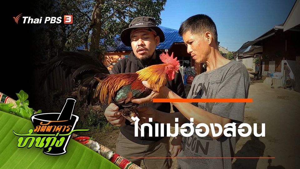 ไก่แม่ฮ่องสอน