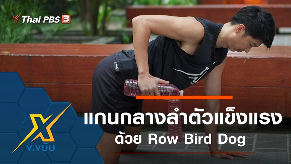 พัฒนาความแข็งแรงแกนกลางลำตัว Row Bird Dog
