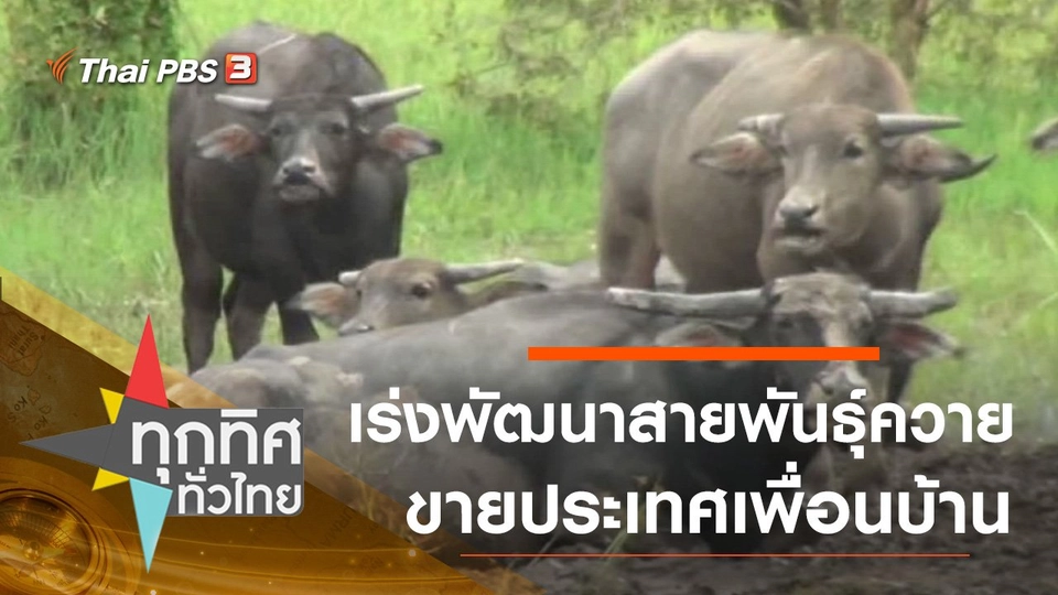 ประเด็นข่าว (29 ธ.ค. 63)