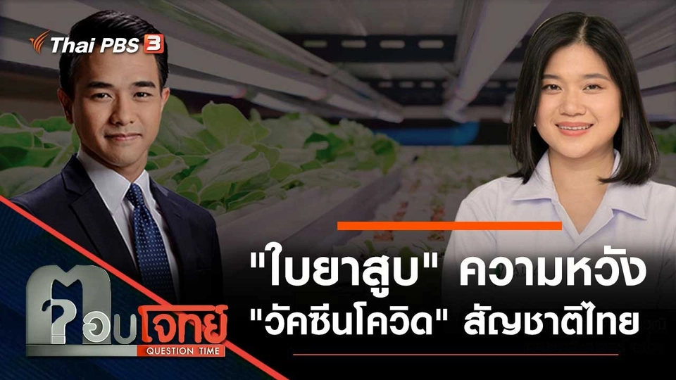 "ใบยาสูบ" ความหวัง "วัคซีนโควิด" สัญชาติไทย