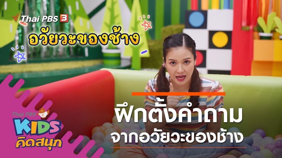 ฝึกตั้งคำถามจากอวัยวะของช้าง