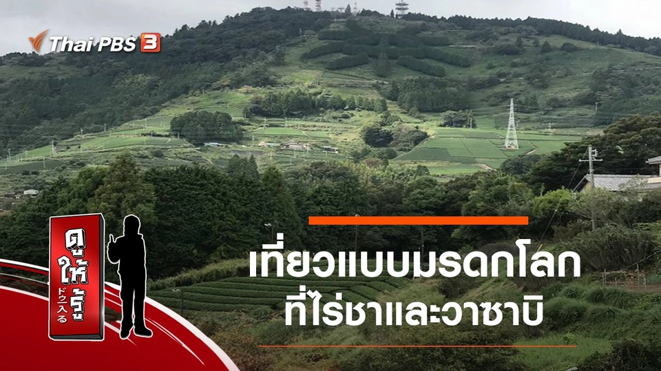 เที่ยวแบบมรดกโลกที่ไร่ชาและวาซาบิ