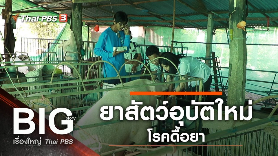 ยาสัตว์อุบัติใหม่...โรคดื้อยา