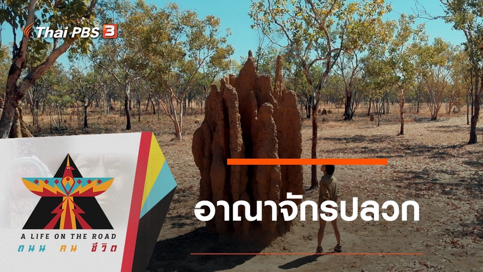 อาณาจักรปลวก