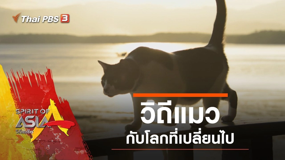 ​วิถีแมวกับโลกที่เปลี่ยนไป