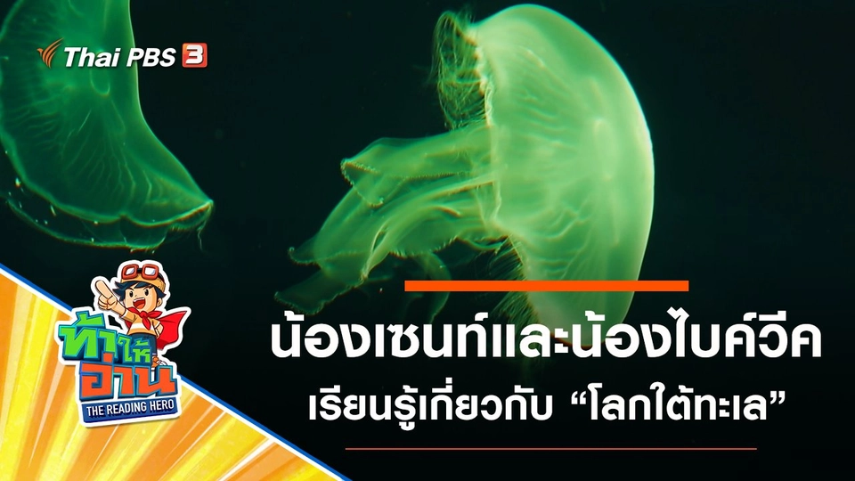 โลกใต้ทะเล : น้องเซนท์และน้องไบค์วีค