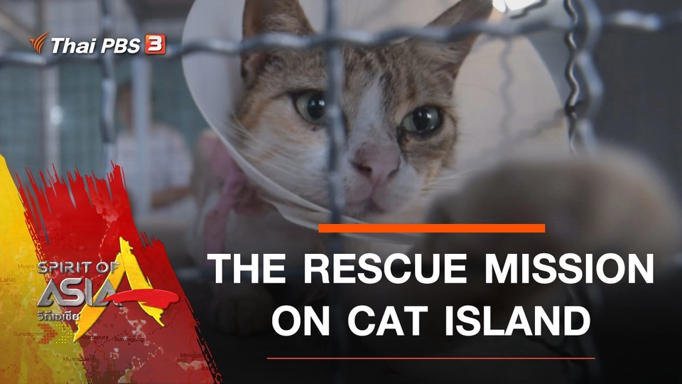 THE RESCUE MISSION ON CAT ISLAND