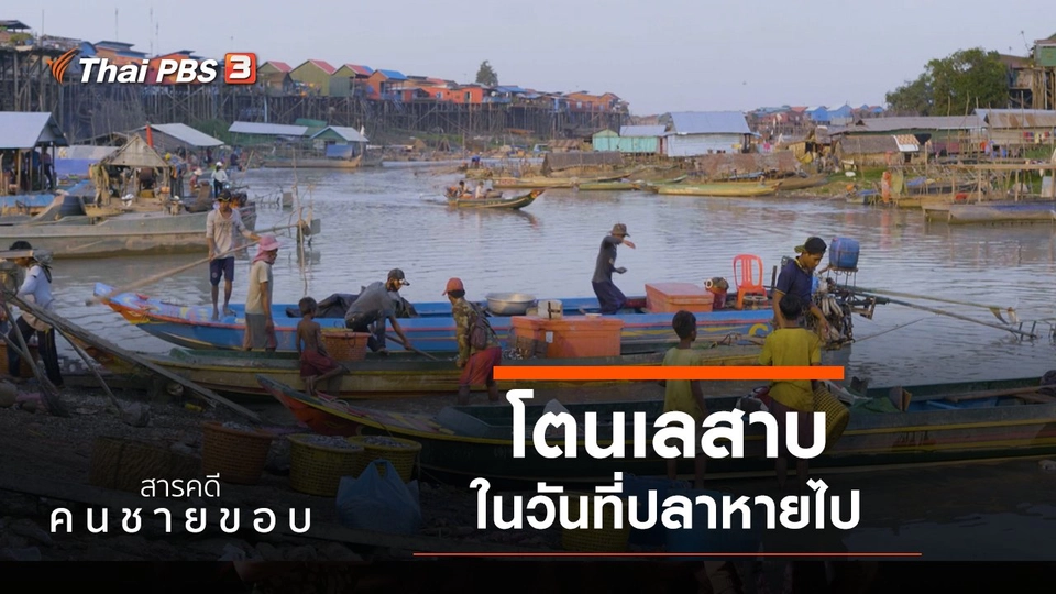 โตนเลสาบ ในวันที่ปลาหาย