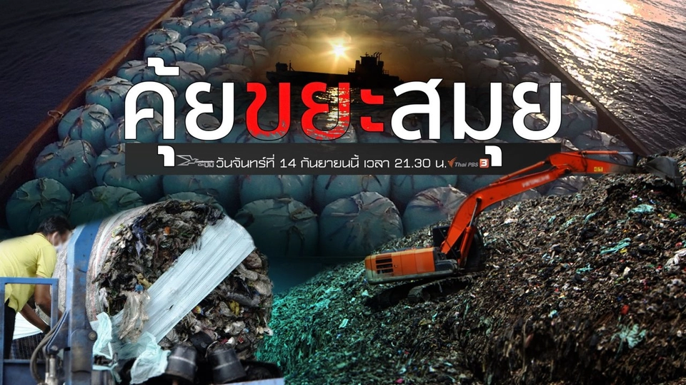 คุ้ยขยะสมุย