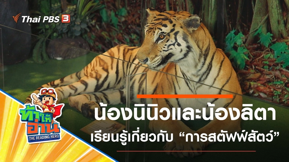 สตัฟฟ์สัตว์ : น้องนินิวและน้องลิตา