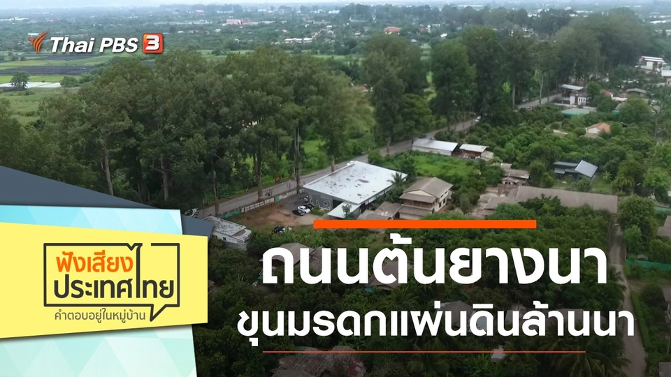 ถนนต้นยางนา ขุนมรดกแผ่นดินล้านนา