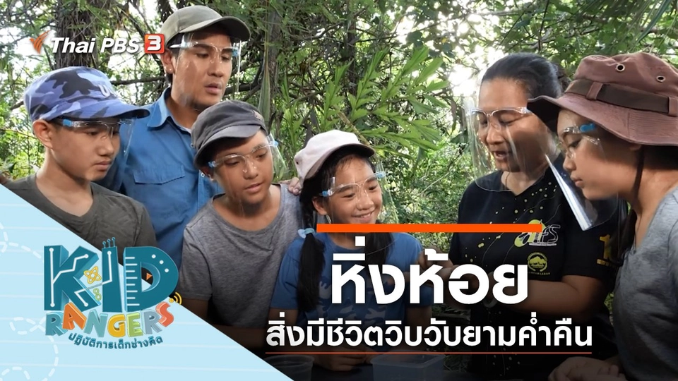 หิ่งห้อย