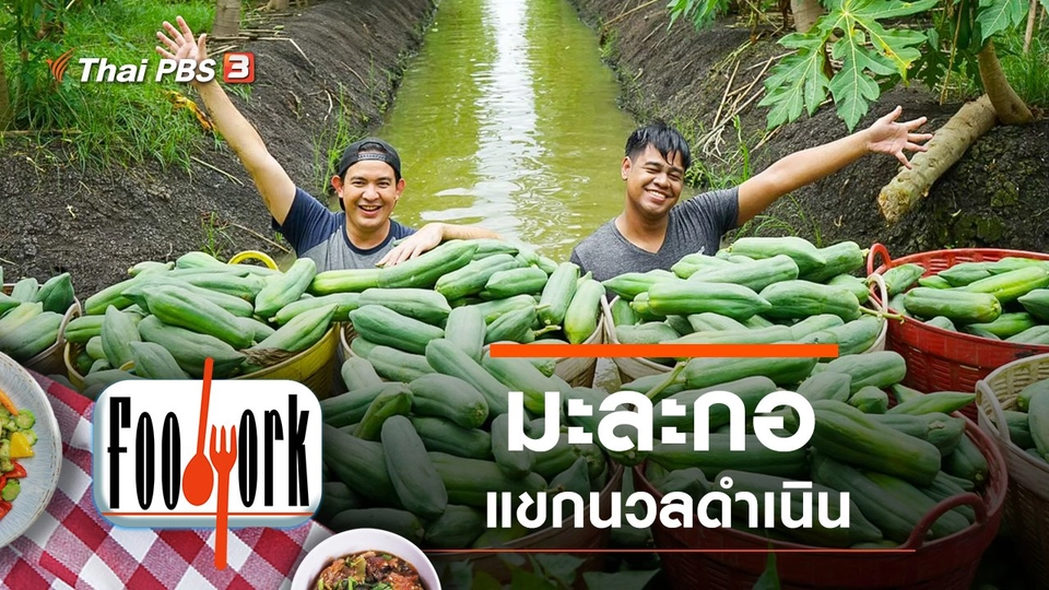 มะละกอแขกนวลดำเนิน