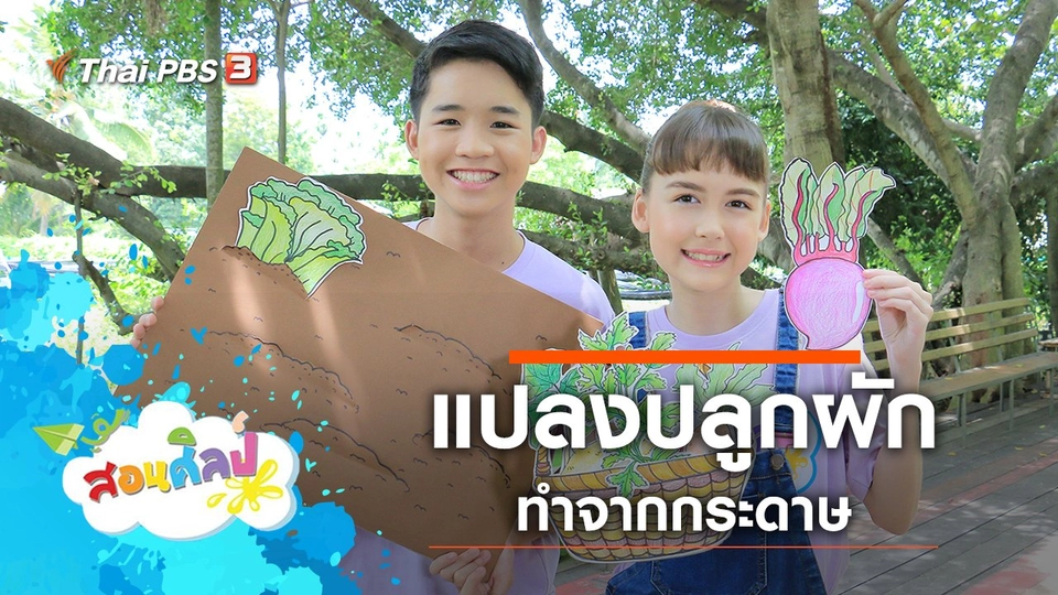 แปลงปลูกผักกระดาษ