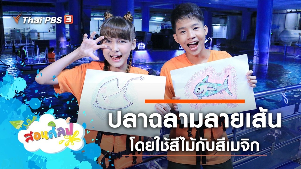 ปลาฉลามลายเส้น