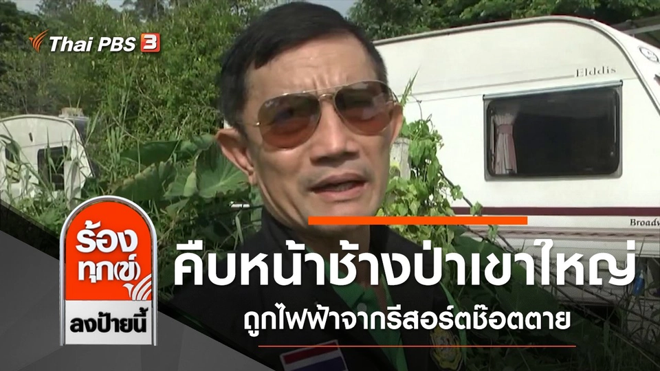 คืบหน้าช้างป่าเขาใหญ่ถูกไฟฟ้าจากรีสอร์ตช๊อตตาย จ.นครราชสีมา