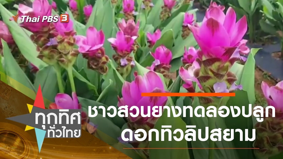 ประเด็นข่าว (2 ต.ค. 63)