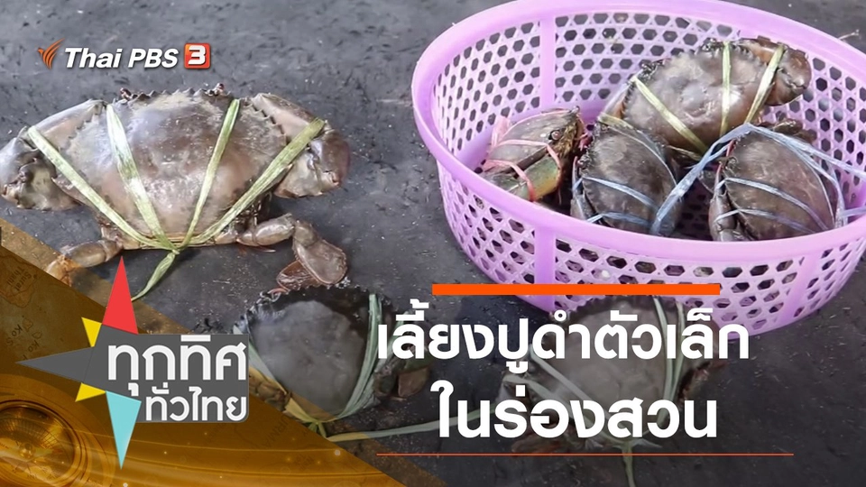 ประเด็นข่าว (5 ต.ค. 63)