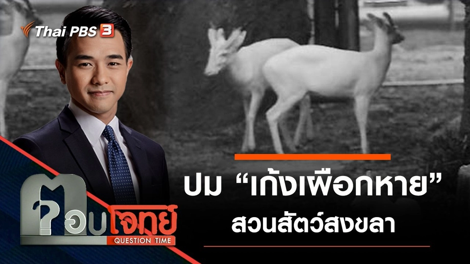 ปม “เก้งเผือกหาย” สวนสัตว์สงขลา