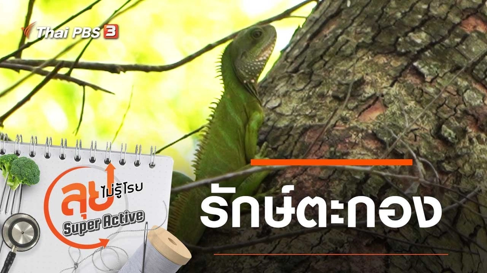 รักษ์ตะกอง
