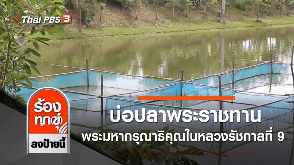 บ่อปลาพระราชทาน พระมหากรุณาธิคุณในหลวงรัชกาลที่ 9