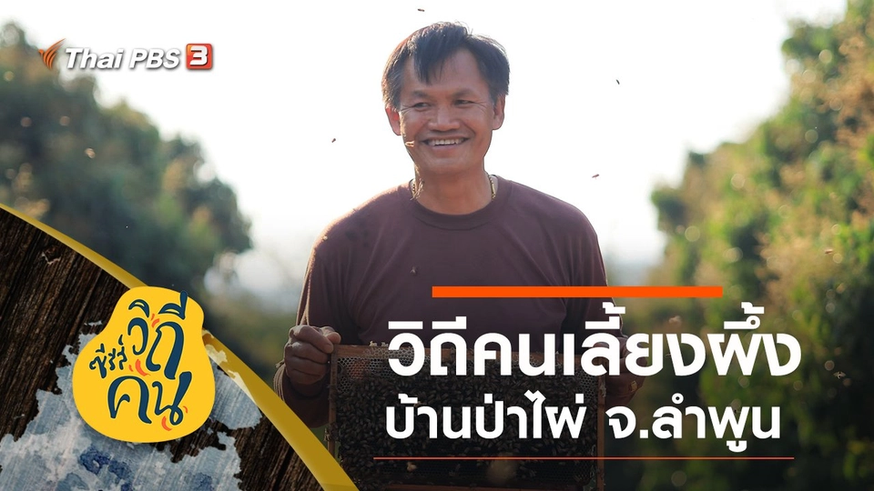 วิถีคนเลี้ยงผึ้ง บ้านป่าไผ่ ต.ป่าไผ่ อ.ลี้ จ.ลำพูน