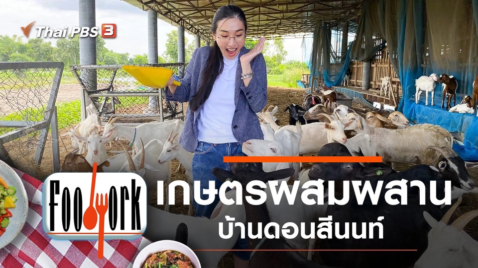 เกษตรผสมผสานบ้านดอนสีนนท์