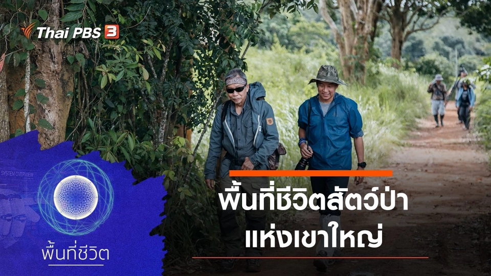 พื้นที่ชีวิตสัตว์ป่าแห่งเขาใหญ่