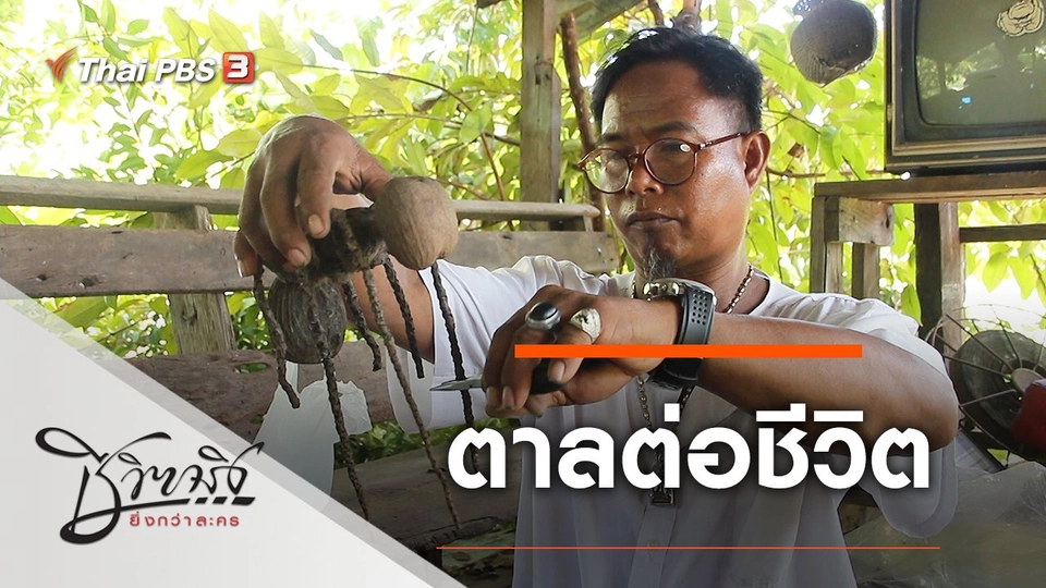 ตาลต่อชีวิต