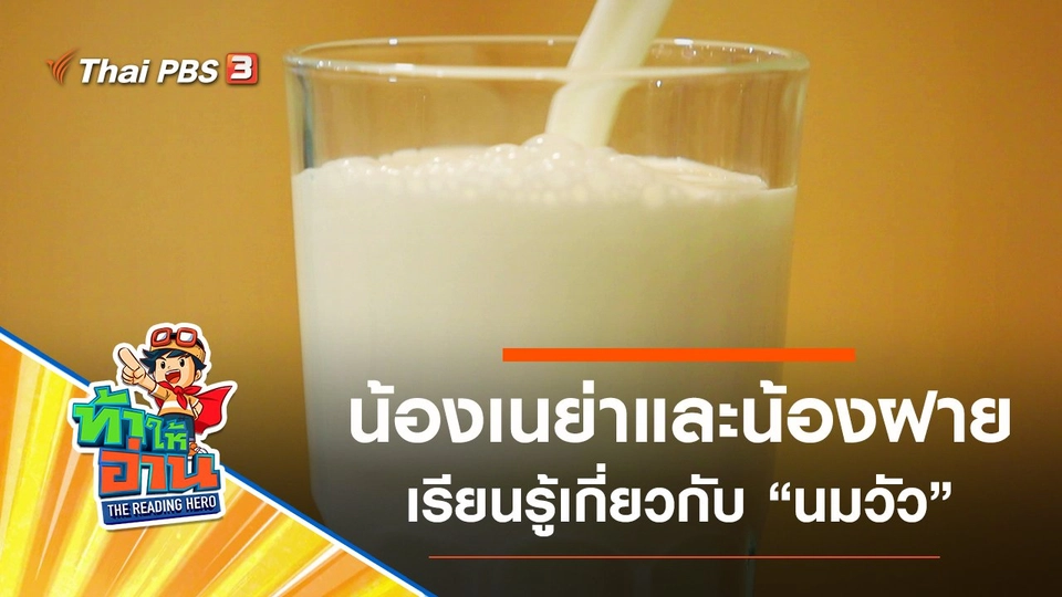 นมวัว : น้องเนย่าและน้องฝาย