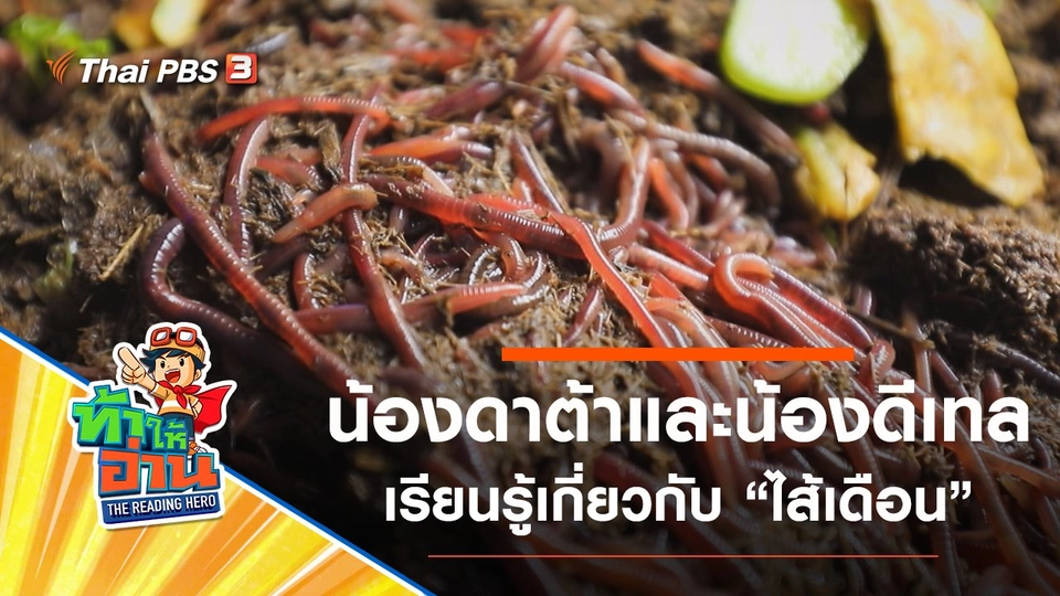 ไส้เดือน : น้องดาต้าและน้องดีเทล