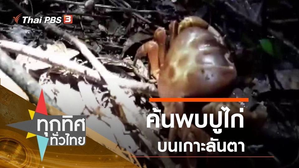 ประเด็นข่าว (29 ต.ค. 63)