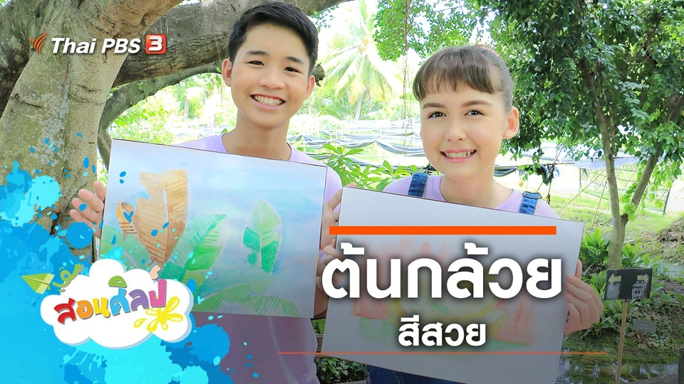 ต้นกล้วยสีสวย