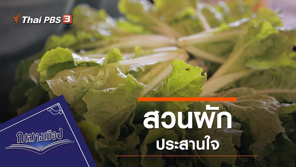 สวนผักประสานใจ