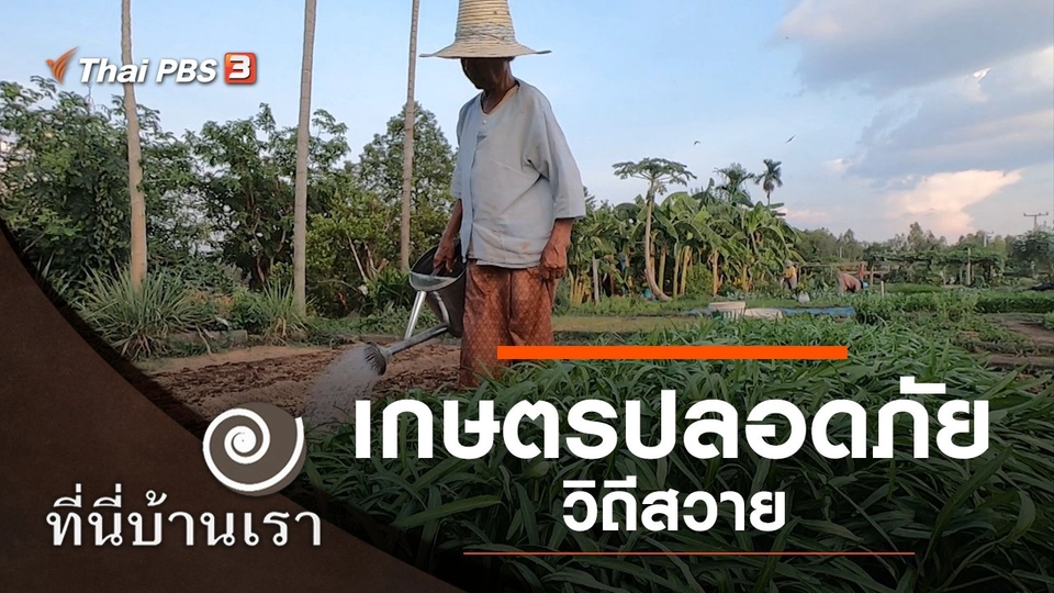 เกษตรปลอดภัย วิถีสวาย