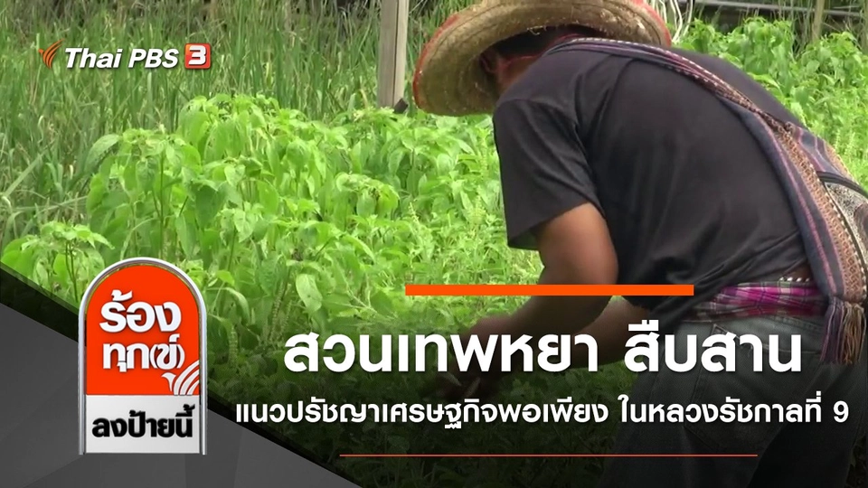 สวนเทพหยา สืบสานแนวปรัชญาเศรษฐกิจพอเพียง ในหลวงรัชกาลที่ 9 จ.สงขลา