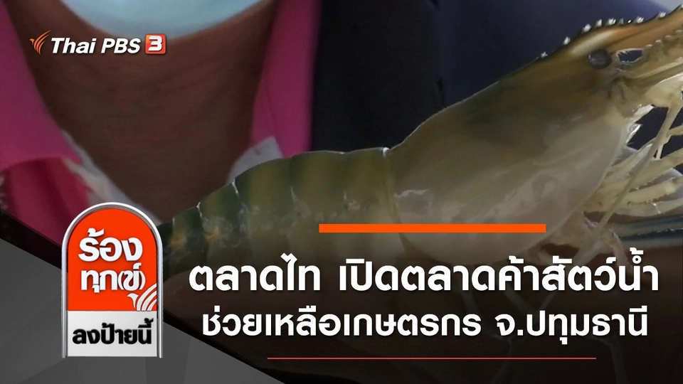 ตลาดไท เปิดตลาดค้าสัตว์น้ำ ช่วยเหลือเกษตรกร จ.ปทุมธานี