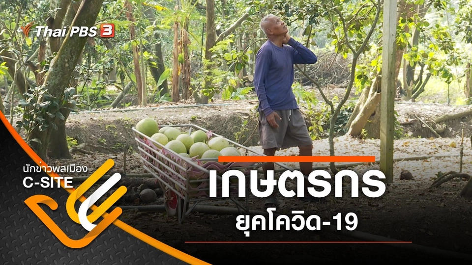 เกษตรกรยุคโควิด-19