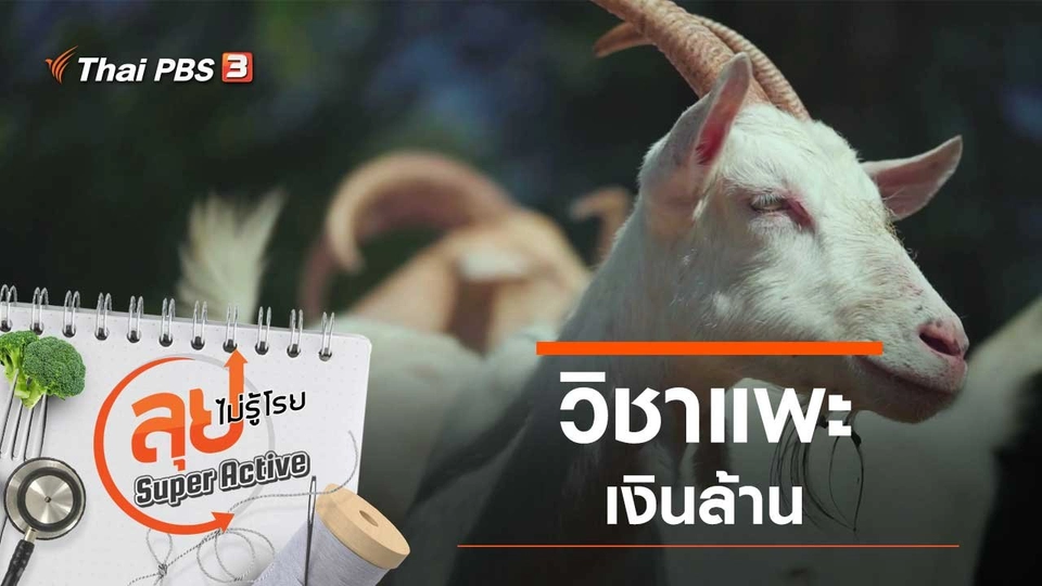 วิชาแพะเงินล้าน