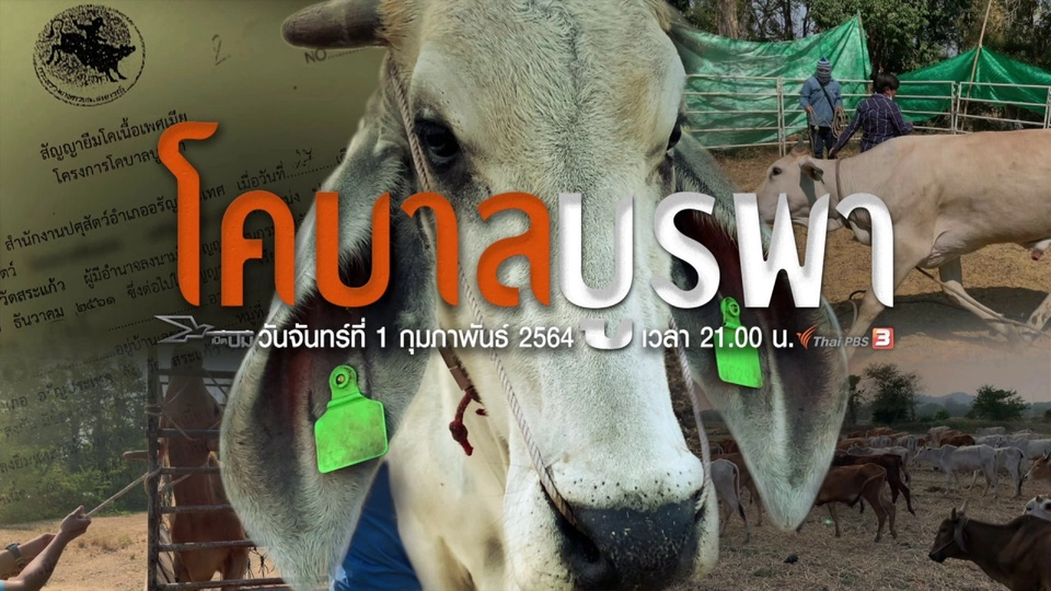 โคบาลบูรพา