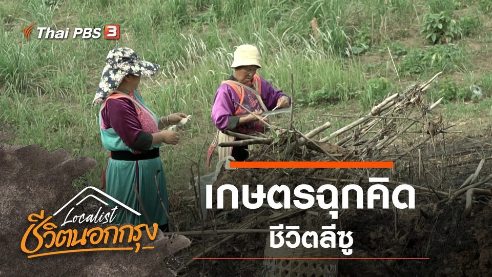 เกษตรฉุกคิด ชีวิตลีซู
