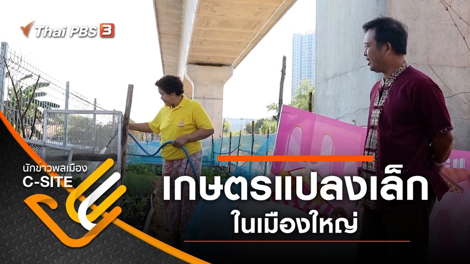 เกษตรแปลงเล็กในเมืองใหญ่