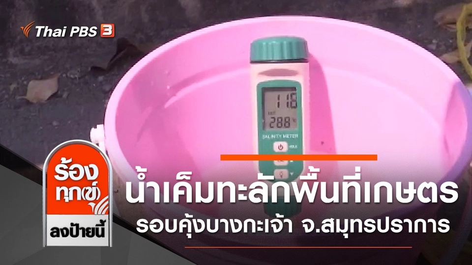​น้ำเค็มทะลักพื้นที่เกษตร รอบคุ้งบางกะเจ้า จ.สมุทรปราการ