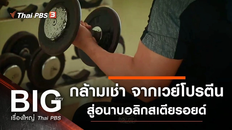 กล้ามเช่า จากเวย์โปรตีนสู่อนาบอลิกสเตียรอยด์